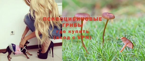 твердый Лихославль